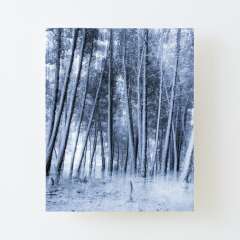 Eternal Winter - Canvas Mounted Print