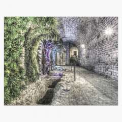 A Garden in the Basement (Girona Cathedral, Catalonia) - Jigsaw Puzzle