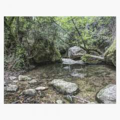 Martinet Creek (Aiguafreda, Catalonia) - Jigsaw Puzzle