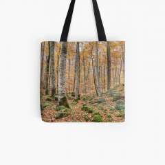 Autumn Between Trees (Fageda d'en Jordà, Catalonia) - All Over Print Tote Bag