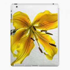 The Yellow Lily - iPad Snap Case