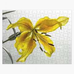 The Yellow Lily - Jigsaw Puzzle