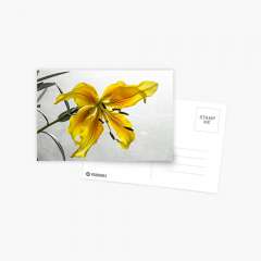 The Yellow Lily - Postcard