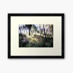 Lost in the Woods - Framed Art Print