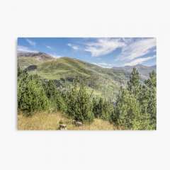 The Puigmal seen from the Collet de les Barraques (Catalan Pyrenees) - Metal Print