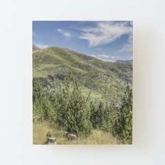 The Puigmal seen from the Collet de les Barraques (Catalan Pyrenees) - Wood Mounted Print
