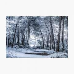 Unexpected Snowfall - Photographic Print