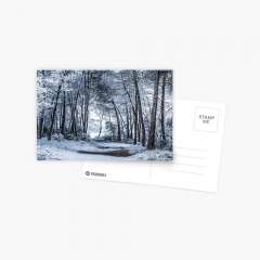 Unexpected Snowfall - Postcard