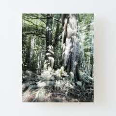 Strong Roots - Canvas Mounted Print