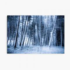 Eternal Winter - Canvas Print