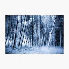 Eternal Winter - Photographic Print