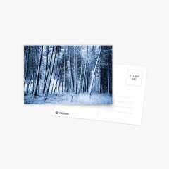 Eternal Winter - Postcard
