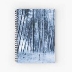 Eternal Winter - Spiral Notebook