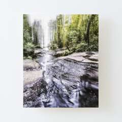 The Flow of Life - Canvas Mounted Print