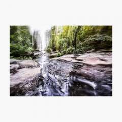 The Flow of Life - Photographic Print