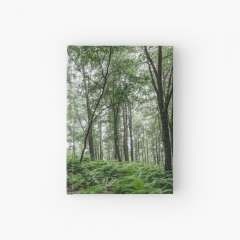 A Summer Day in the Forest - Hardcover Journal