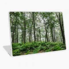A Summer Day in the Forest - Laptop Skin