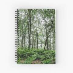 A Summer Day in the Forest - Spiral Notebook