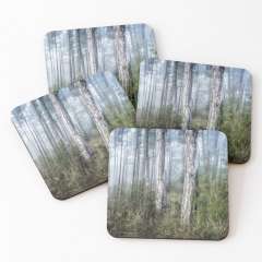 The Misty Forest - Coasters (Set of 4)
