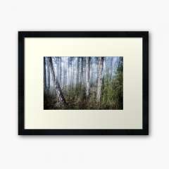 The Misty Forest - Framed Art Print