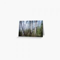 The Misty Forest - Greeting Card