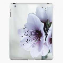 White Almond Flowers - iPad Snap Case