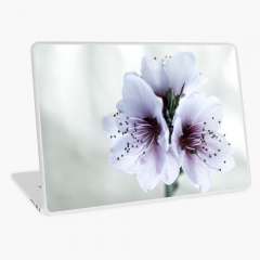 White Almond Flowers - Laptop Skin