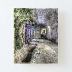 A Garden in the Basement (Girona Cathedral, Catalonia) - Canvas Mounted Print
