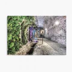 A Garden in the Basement (Girona Cathedral, Catalonia) - Metal Print