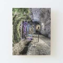 A Garden in the Basement (Girona Cathedral, Catalonia) - Wood Mounted Print