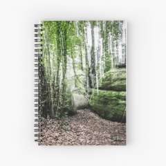 Stones and Trees (Enchanted Rocks, Catalonia) - Spiral Notebook
