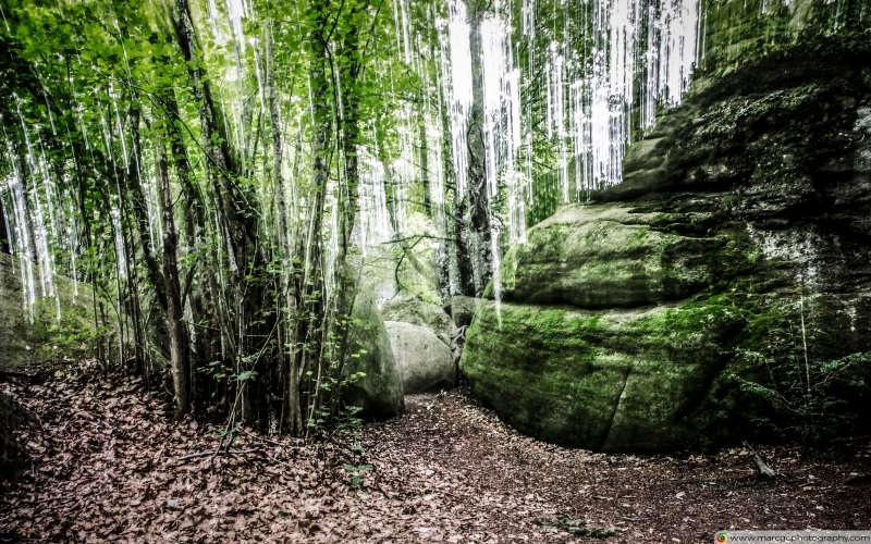 Stones and Trees (Enchanted Rocks, Catalonia) Free 4K HD Wallpaper
