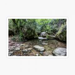 Martinet Creek (Aiguafreda, Catalonia) - Glossy Sticker
