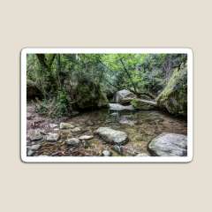 Martinet Creek (Aiguafreda, Catalonia) - Magnet