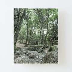 Wooden Bridge, Riera de Martinet, Aiguafreda (Catalonia) - Canvas Mounted Print