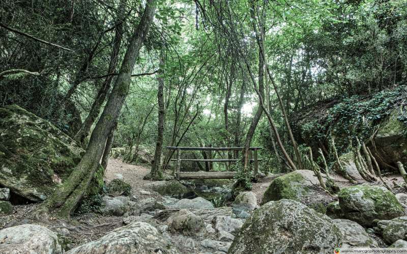 Wooden Bridge, Riera de Martinet, Aiguafreda (Catalonia) Free 4K HD Wallpaper