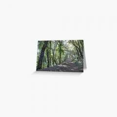 Path Between Trees (Santa Pau, Catalonia) - Greeting Card