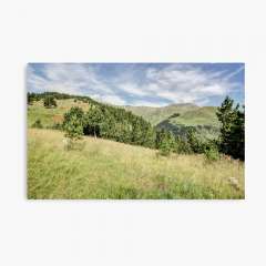 Somewhere in the Catalan Pyrenees  - Canvas Print