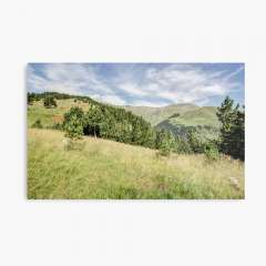 Somewhere in the Catalan Pyrenees  - Metal Print