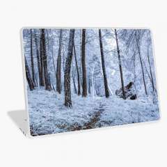 Winter Snowfall - Laptop Skin