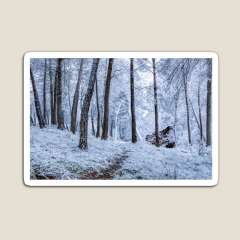 Winter Snowfall - Magnet