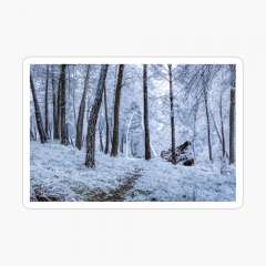 Winter Snowfall - Sticker