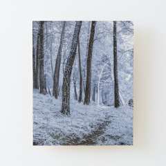 Winter Snowfall - Wood Mounted Print