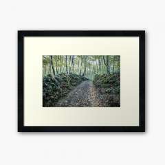 Walking Between Rocks and Trees - Framed Art Print