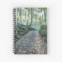 Walking Between Rocks and Trees - Spiral Notebook