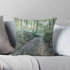 Walking Between Rocks and Trees - Throw Pillow
