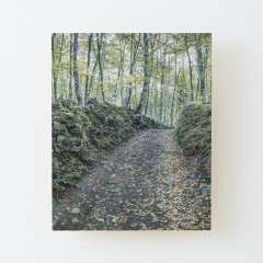 Walking Between Rocks and Trees - Wood Mounted Print