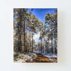 Path Throw The Snow - Canvas Mounted Print