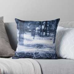 The Coldest Day - Throw Pillow