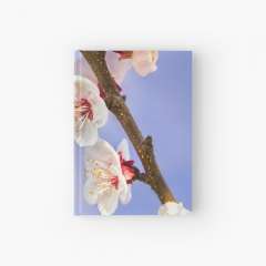 Apricot Flowers - Hardcover Journal